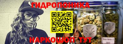 индика Можайск