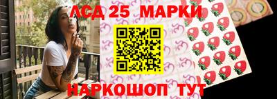 индика Можайск