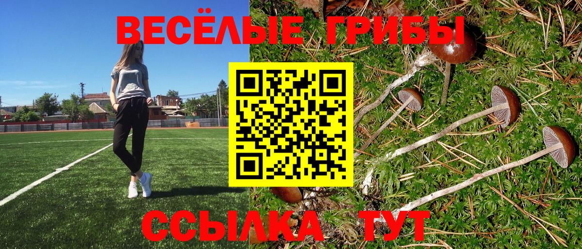 Галлюциногенные грибы мицелий Сосновоборск