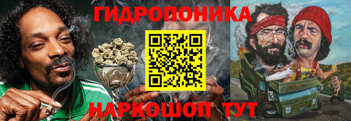 Канабис конопля Сосновоборск